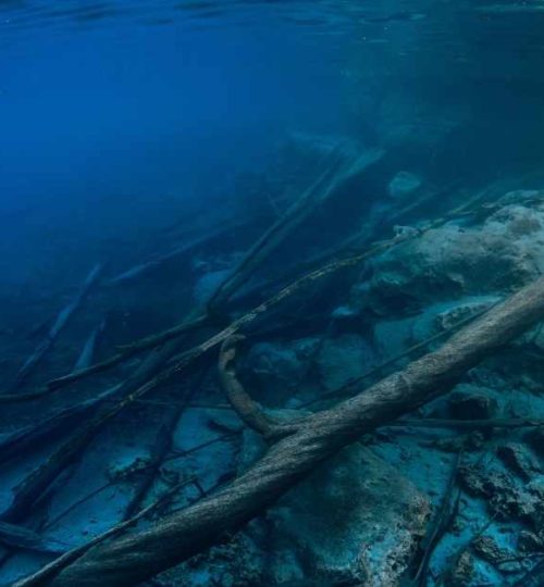 underwater cable